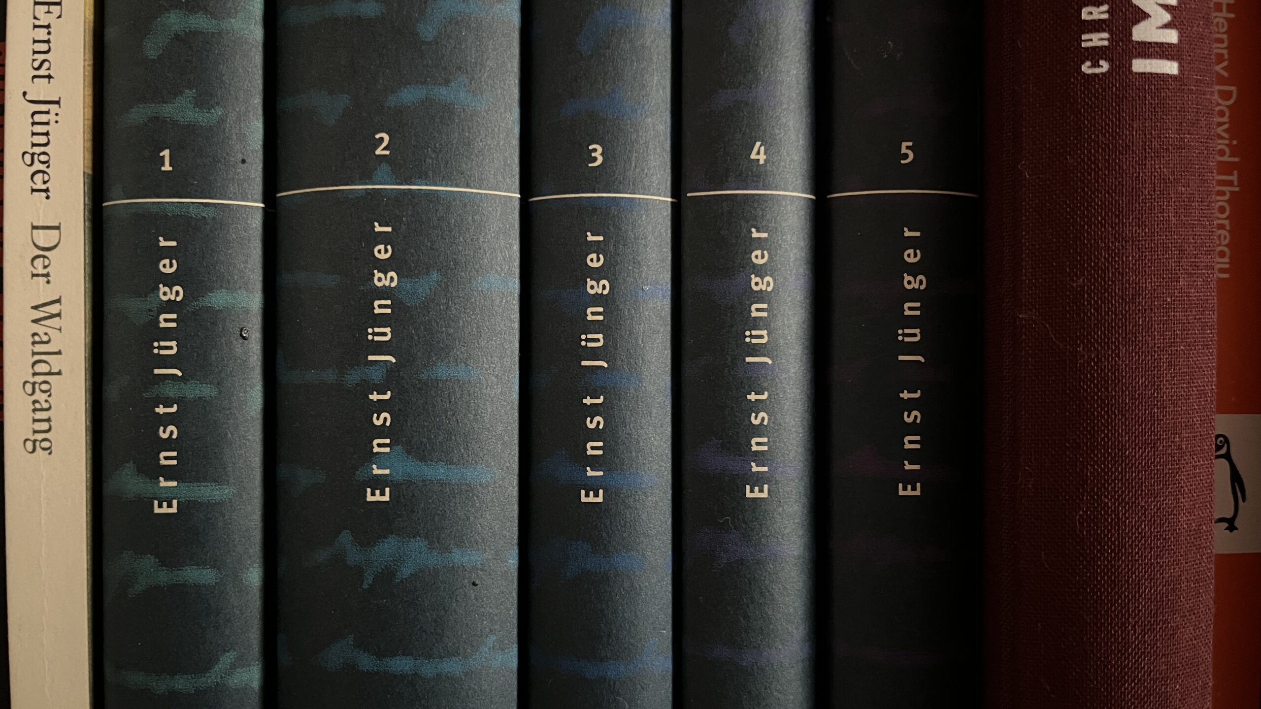 Bücherregal mit Werken von Ernst Jünger – Symbol für sein literarisches und philosophisches Erbe